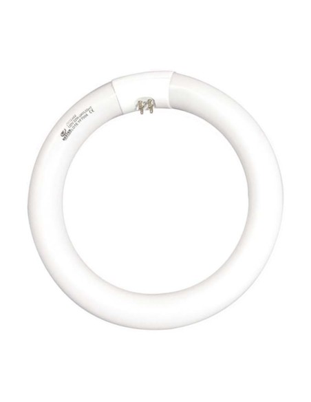 FLUORESCENTE 22W PARA LUPA CON LUZ