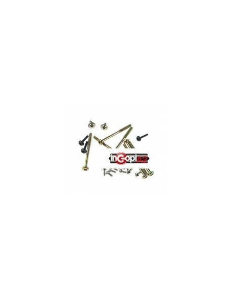 TORNILLERIA PS3 FAT 60gb