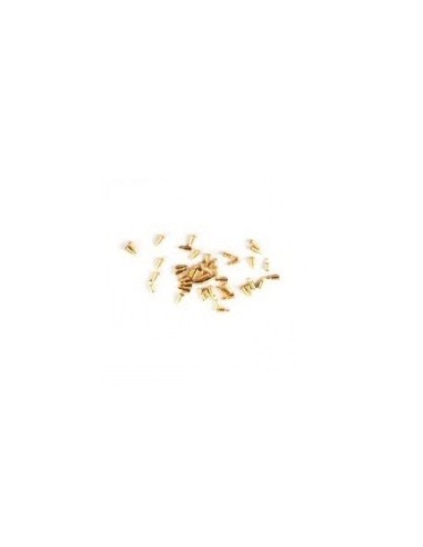 IPHONE 3G/3GS PIN SE